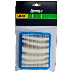 Air filter B&S Quantum 