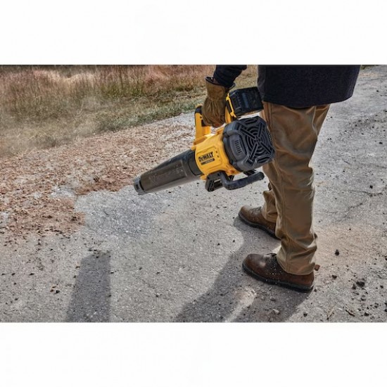 DeWALT 18V XR 12.7m3  Brushless Blower - 1 x 5Ah 