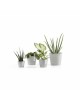 Amsterdam Mini small pot 10 White Grey Small pots