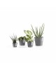 Amsterdam Mini small pot 8 Grey Small pots