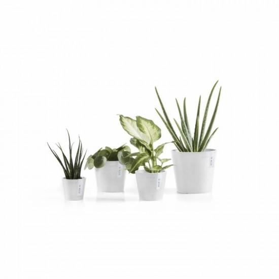 Amsterdam Mini small pot 13 Pure White Small pots