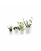 Amsterdam Mini small pot 8 Pure White Small pots