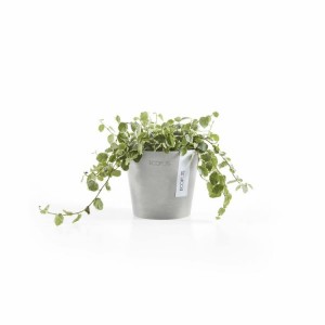 Amsterdam Mini small pot 10 White Grey