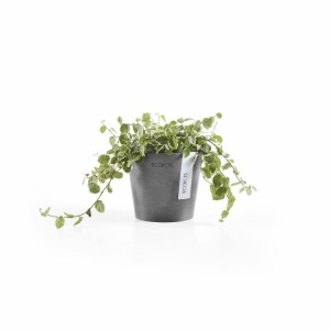 Amsterdam Mini small pot 10 Grey