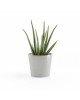 Amsterdam Mini small pot 17 White Grey Small pots