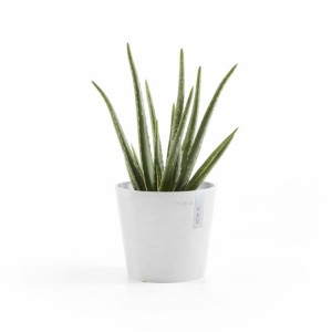 Amsterdam Mini small pot 17 Pure White