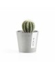 Amsterdam Mini small pot 8 White Grey Small pots