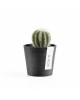 Amsterdam Mini small pot 8 Dark Grey Small pots