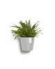 Hanging pot Amsterdam Wall White Grey Amsterdam wall pot