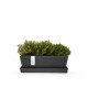 Rectangular planter Bruges Mini 25 Dark Grey with saucer Renctangular bruges mini