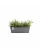 Rectangular planter Bruges 55 Grey Renctangular bruges