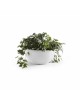 Round bowl pot Brussels 25 Pure White Brussels pot 