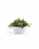 Round bowl pot Brussels 30 Pure White Brussels pot 