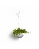 Hanging bowl Brussels 33 White Grey Hanging pot brussels