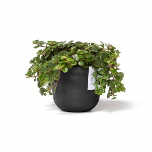 Oslo Mini small pot 11 Dark Grey