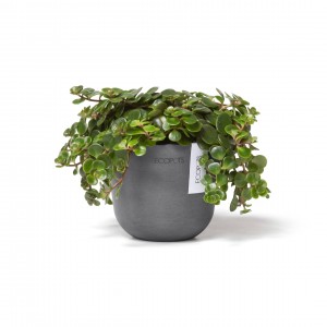 Oslo Mini small pot 8 Grey