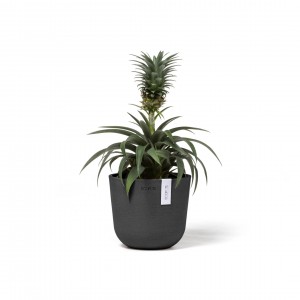 Oslo Mini small pot 16 Dark Grey