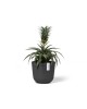 Oslo Mini small pot 16 Dark Grey Small pots