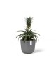 Oslo Mini small pot 16 Grey Small pots