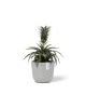 Oslo Mini small pot 16 White Grey Small pots