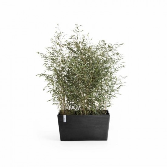 Big planter Paris 100 Dark Grey Rectangular paris 