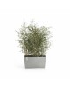 Big planter Paris 100 White Grey Rectangular paris 