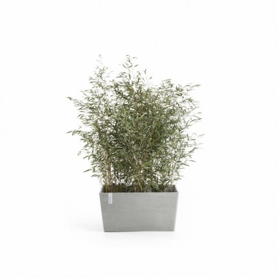 Big planter Paris 60 White Grey Rectangular paris 