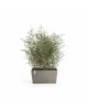 Big planter Paris 80 Taupe Rectangular paris 