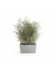 Big planter Paris 80 White Grey Rectangular paris 