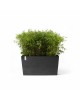 Big planter Paris Wheels 100 Dark Grey Rectangular paris wheels