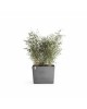 Big planter Paris Wheels 85 Grey Rectangular paris wheels