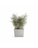 Big planter Paris Wheels 85 White Grey Rectangular paris wheels