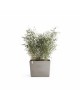 Big planter Paris Wheels 85 Taupe Rectangular paris wheels