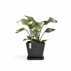 Rotterdam square pot 30 Dark Grey