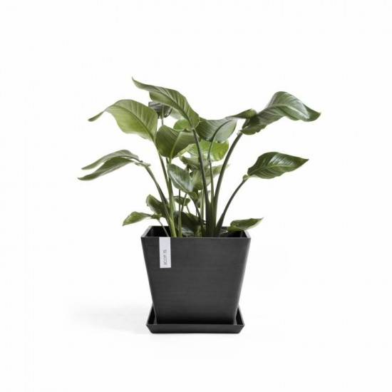 Rotterdam square pot 40 Dark Grey Rotterdam pot 