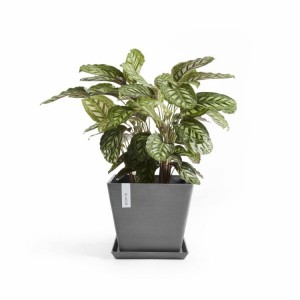 Rotterdam square pot 50 Grey