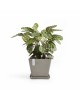 Rotterdam square pot 50 Taupe Rotterdam pot 