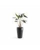 Sankara Mid High pot 55 Dark Grey Sankara pot 