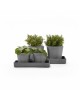 Saucer rectangular 25 Grey Display platter