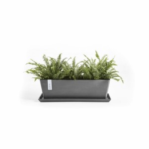 Saucer rectangular 65 Grey