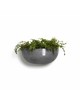 Hanging pot Sofia Wall Grey Sofia wall pot