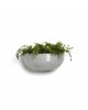 Hanging pot Sofia Wall White Grey Sofia wall pot