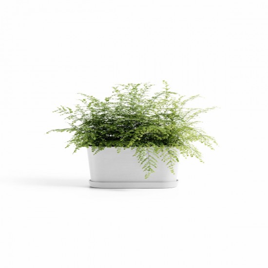 Oval pot Tokyo 40 Pure White Oval pots