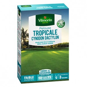 Tropical lawn cynodon 500g