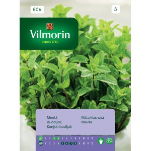 Spearmint seeds 506