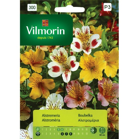 Alstroemeria seeds 300 Flower seeds