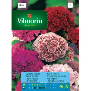 Carnation Sweet William 332