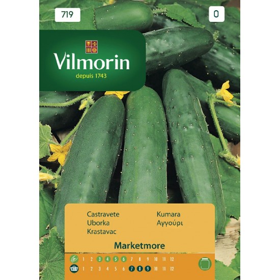 Cucumber marketmore 719 Vegetable seeds