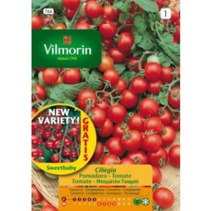 Tomato cerise 764 