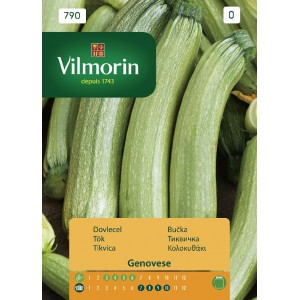 Zucchini genovese 790